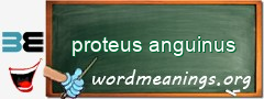 WordMeaning blackboard for proteus anguinus